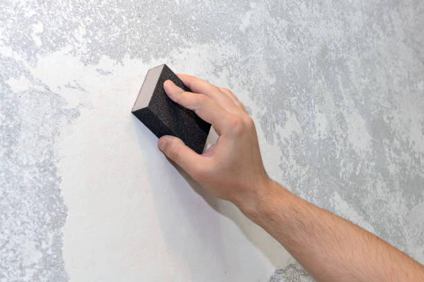 Best Mold Prevention Services  in Collegedale, TN