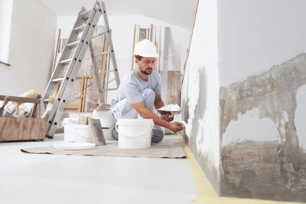 Best Attic Mold Removal  in Collegedale, TN