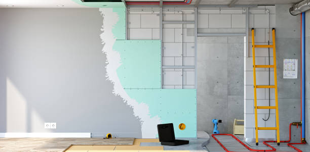 Best Black Mold Removal  in Collegedale, TN