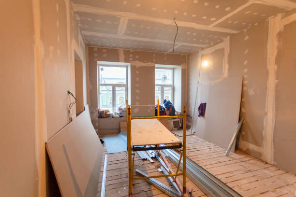 Best Black Mold Removal  in Collegedale, TN