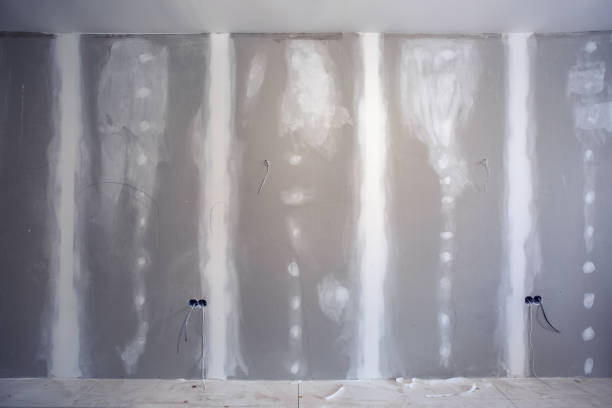Best Air Quality Testing for Mold Spores  in Collegedale, TN